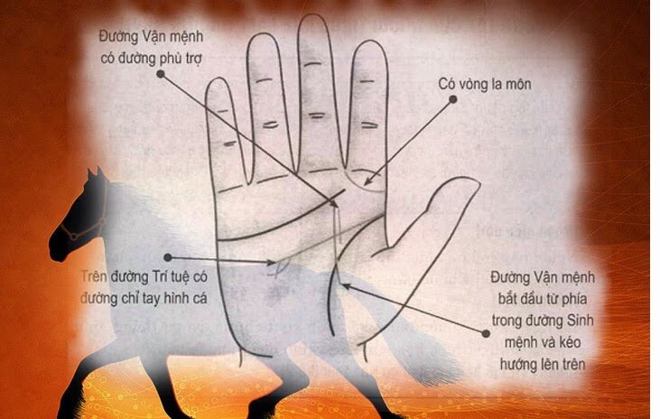 Xem bói tướng tay của người có quý nhân phù trợ
