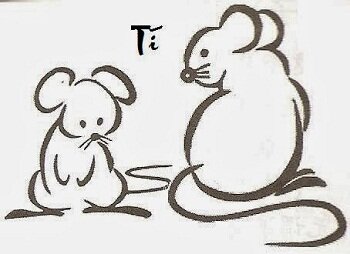 Tử vi trọn đời tuổi Mậu Tý nam mạng